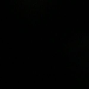 Meet your Posher, Priscilla